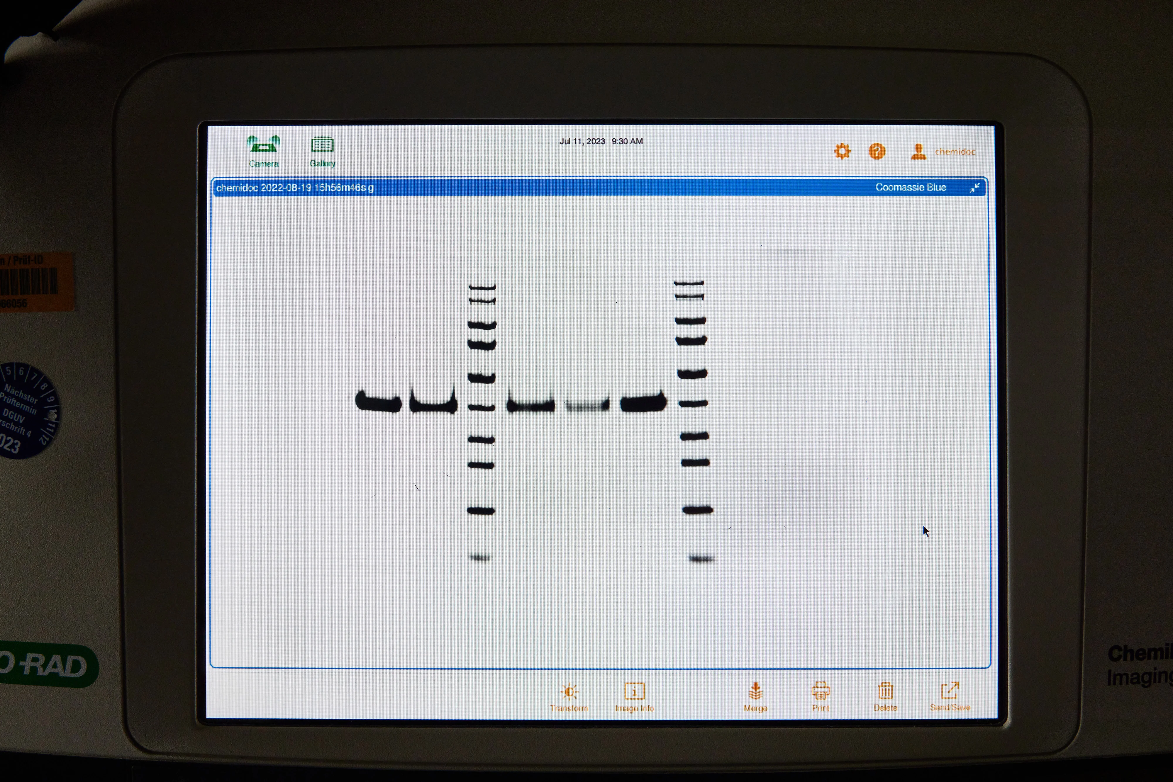 Dünnschicht Chromatographie