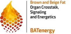 Logo BATenergie